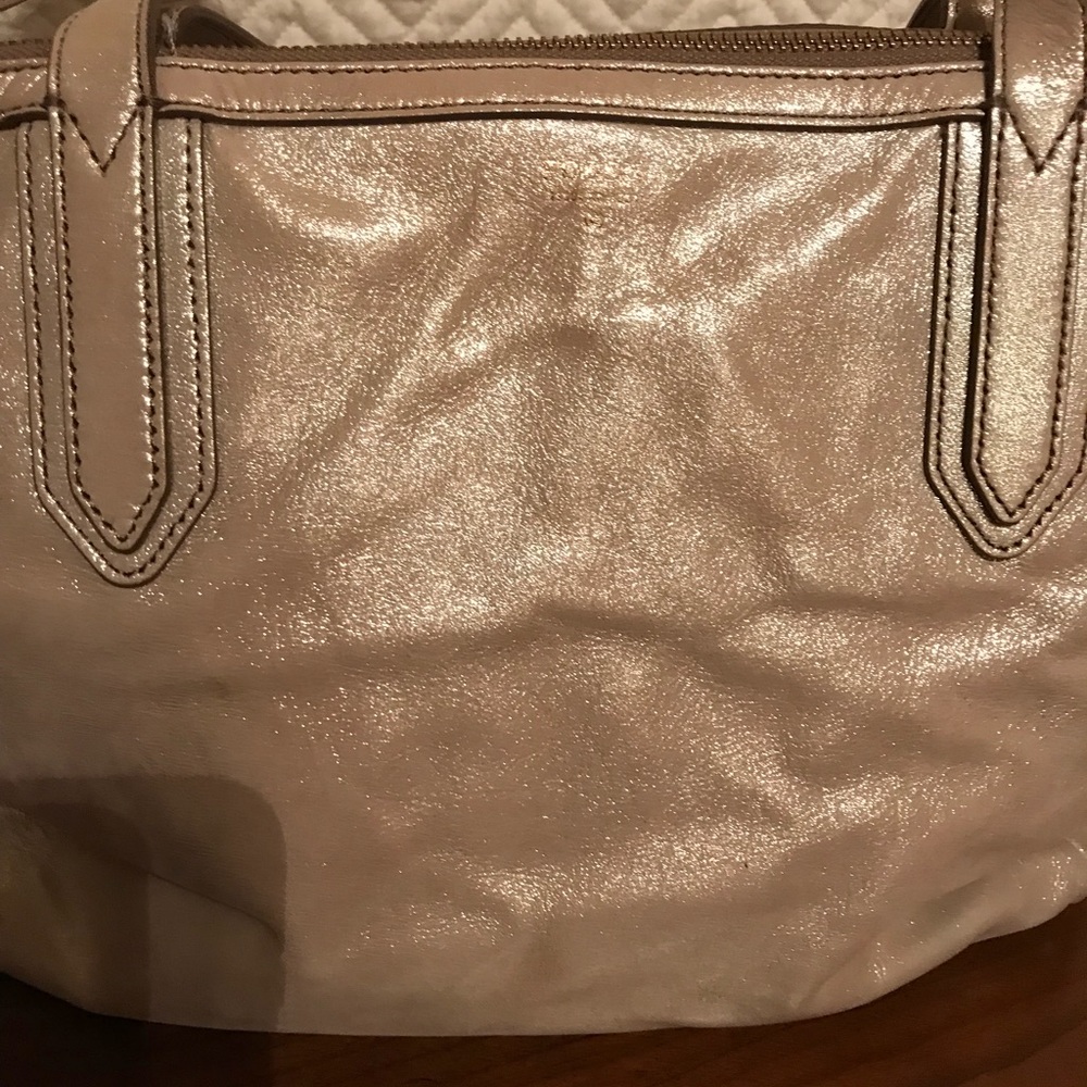 Fossil purse